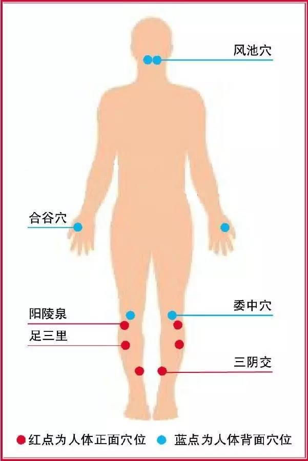 春末夏初，常按5大穴位“身体不拥堵”！